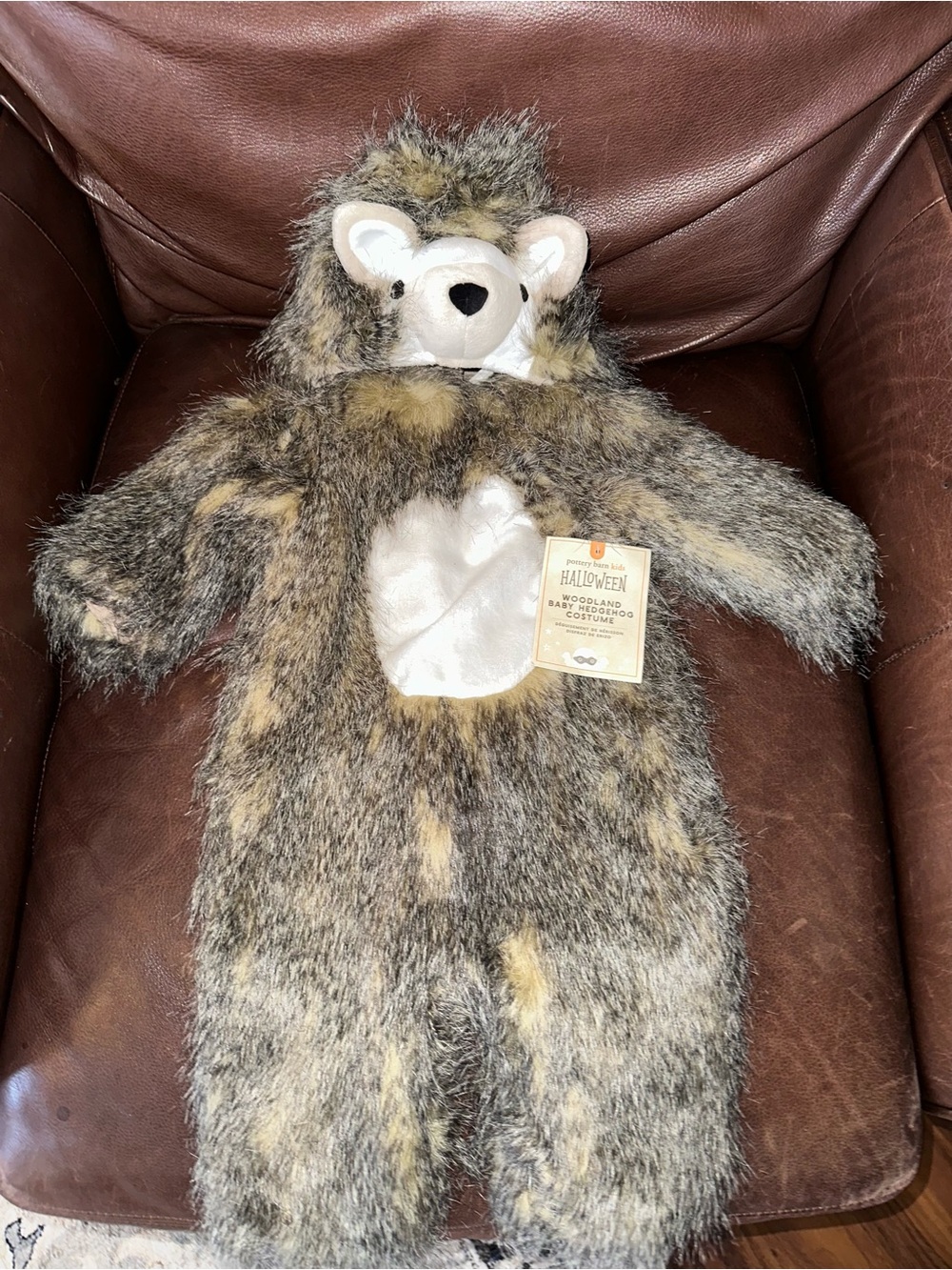 Pottery Barn Kids Woodland Baby Hedgehog Halloween Costume 0-6 months NEW